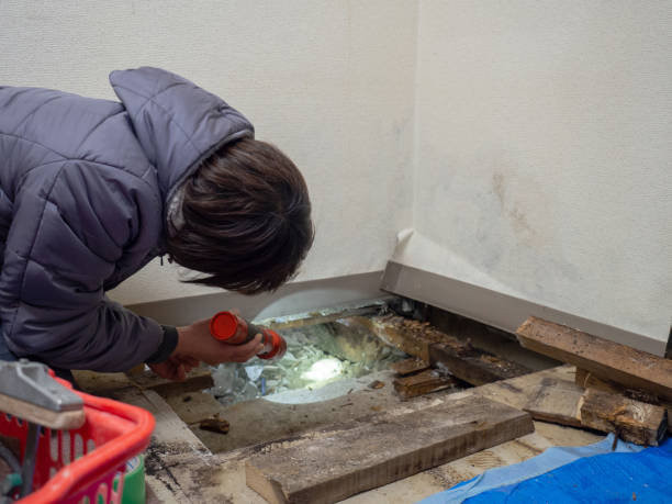 Best Post-Remediation Verification Testing  in Garner, NC