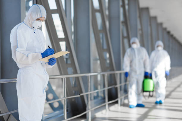 Best Mold Damage Restoration  in Garner, NC
