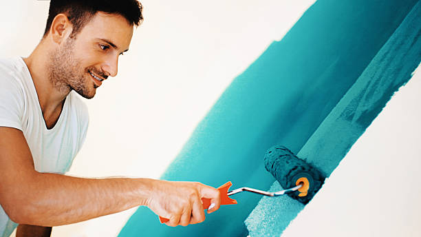 Reliable Garner, NC Mold Removal Solutions